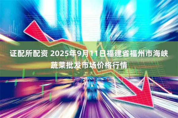 证配所配资 2025年9月11日福建省福州市海峡蔬菜批发市场价格行情