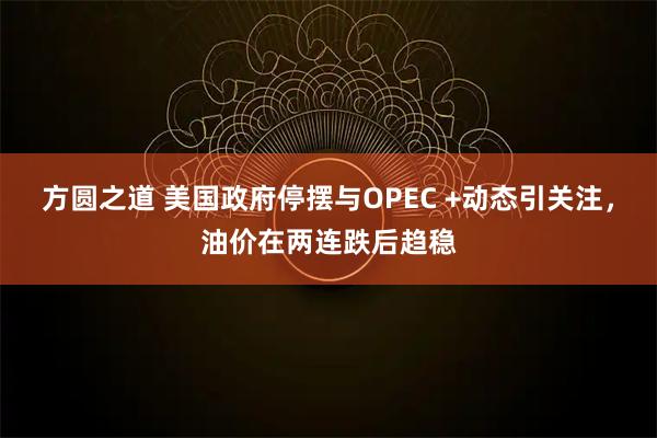 方圆之道 美国政府停摆与OPEC +动态引关注，油价在两连跌后趋稳